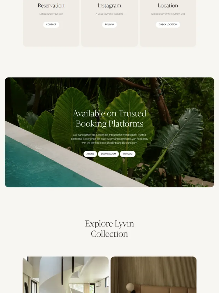 LYVIN.CO, Melasti (оренда), фрагмент 3